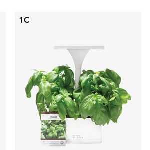 Indoor planter. Fab fit fun item